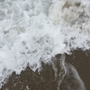 Meet your Posher, Avery